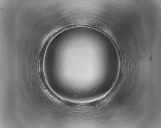 X0000054370987200507291042