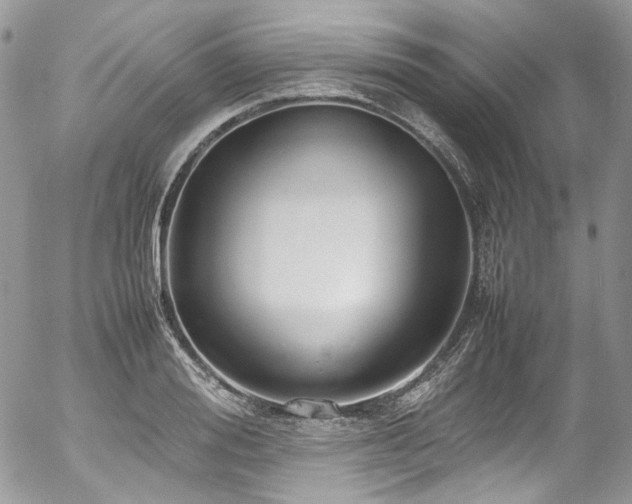 X0000054370988200507291042