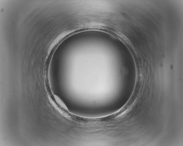 X0000054370989200507291042