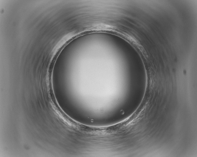 X0000054370990200507291042