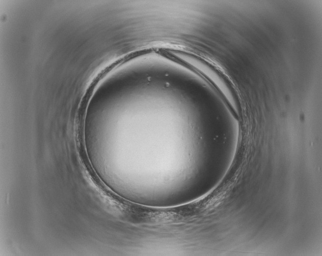 X0000054370991200507291042