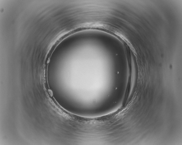 X0000054370992200507291042