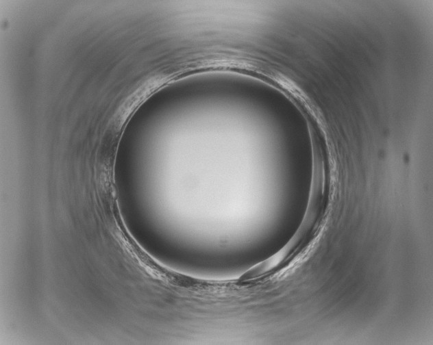 X0000054370993200507291042