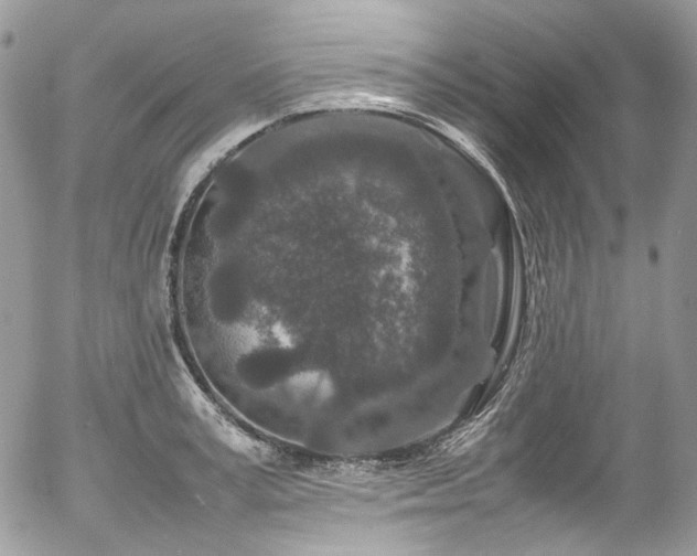 X0000054370995200507291042