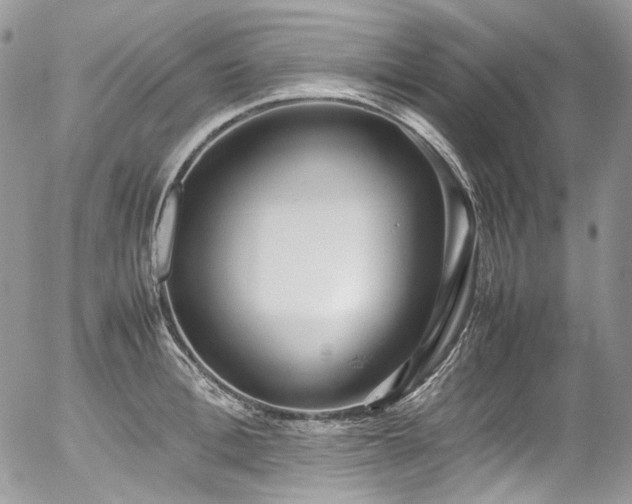 X0000054370996200507291042