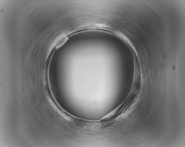 X0000054370997200507291042