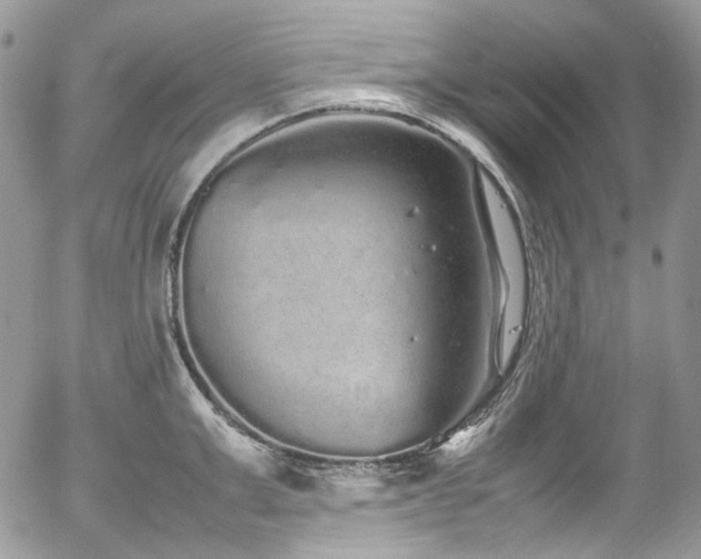 X0000054370999200507291042