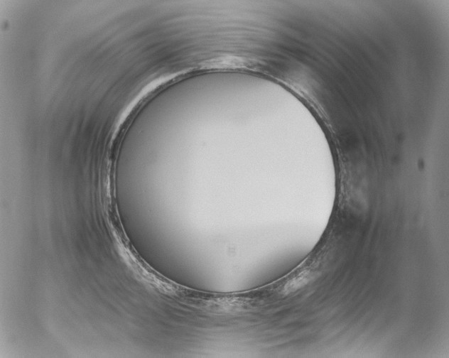 X0000054371000200507291042