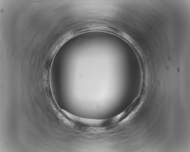 X0000054371001200507291042