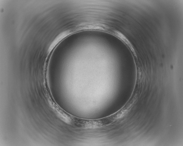 X0000054371002200507291042