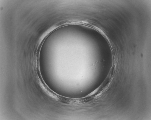 X0000054371003200507291042