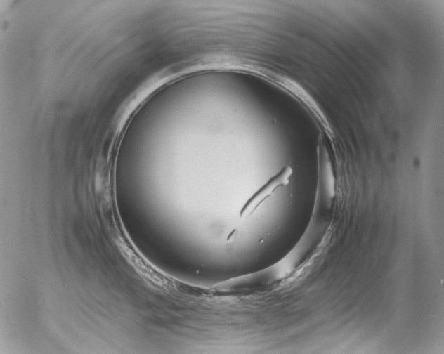 X0000054371004200507291042