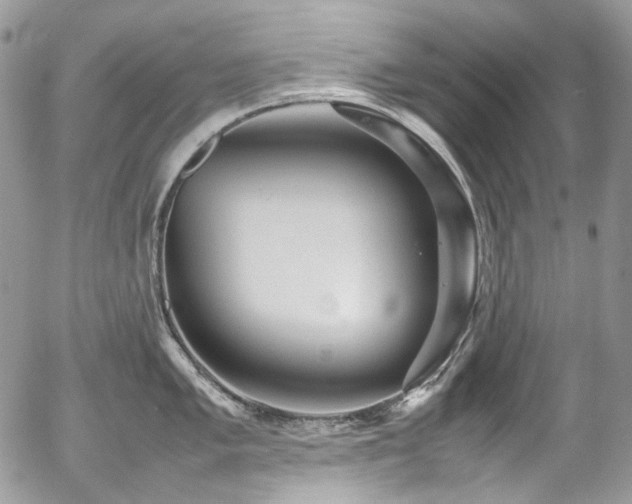 X0000054371005200507291042