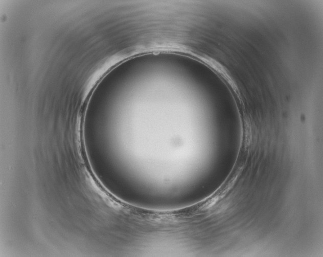 X0000054371006200507291042