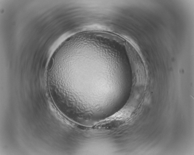 X0000054371008200507291042