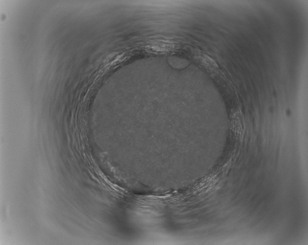 X0000054371009200507291041