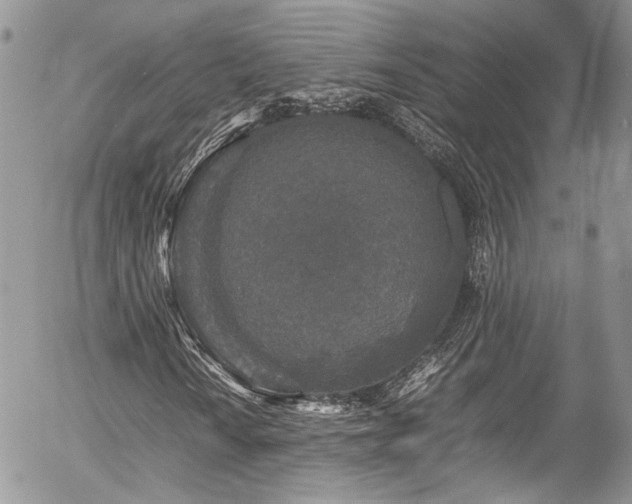 X0000054371010200507291041