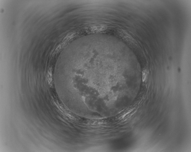 X0000054371011200507291041