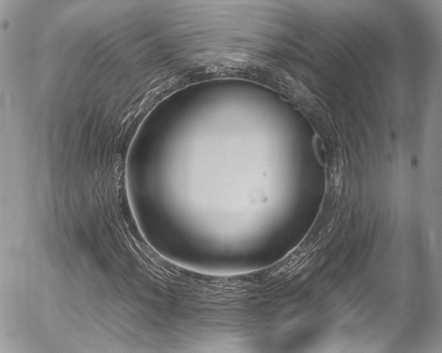 X0000054371012200507291041