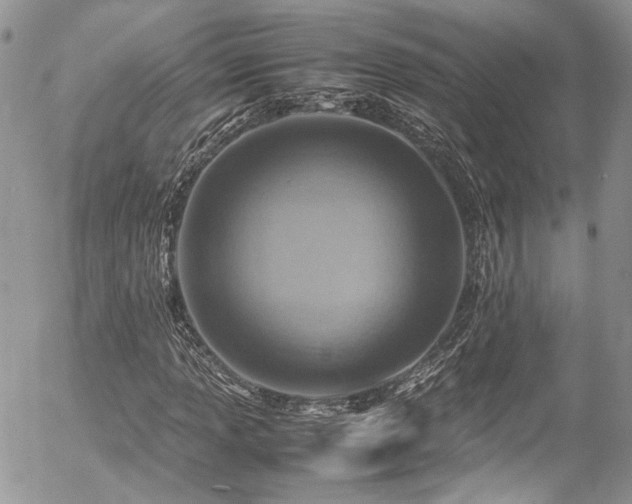 X0000054371013200507291041