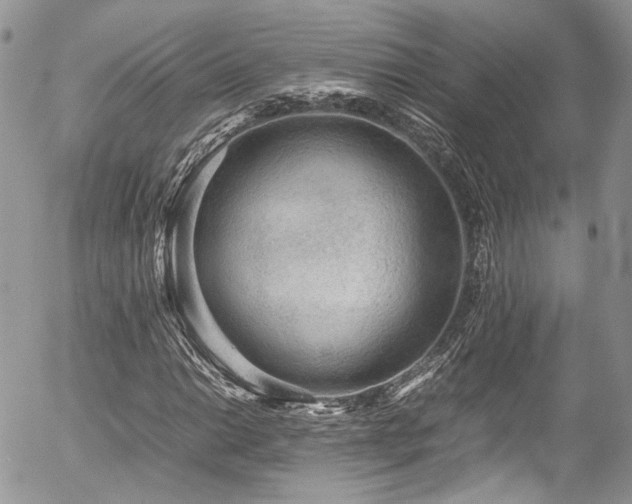 X0000054371014200507291041