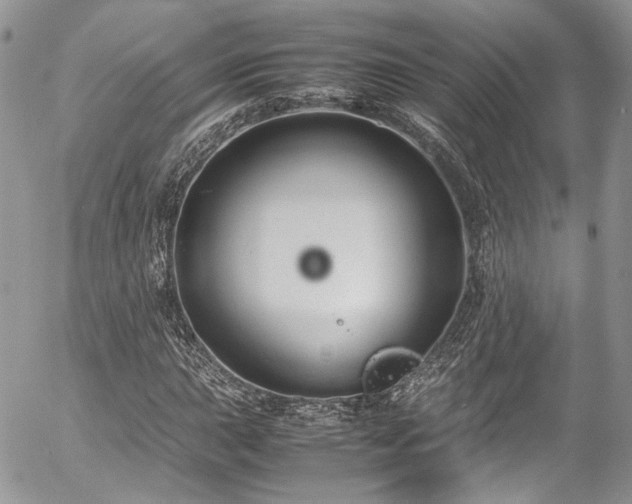 X0000054371015200507291041