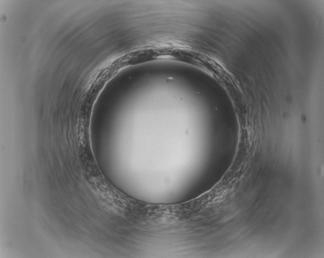 X0000054371016200507291041