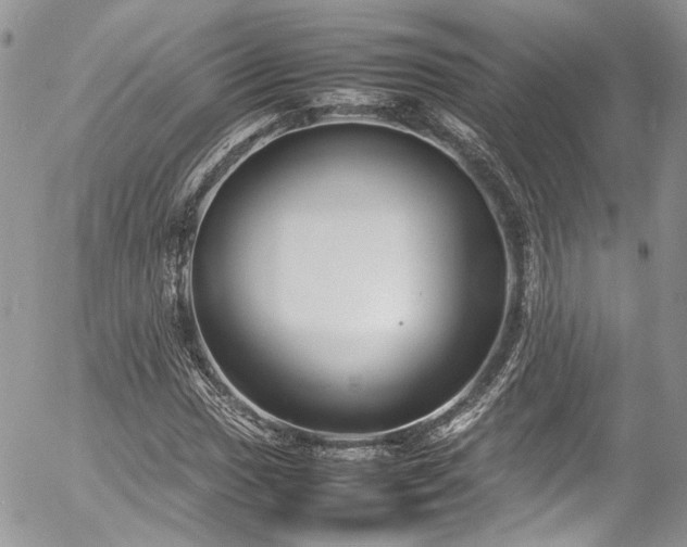 X0000054371017200507291041