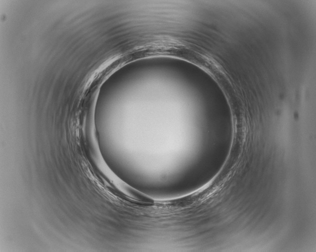 X0000054371018200507291041