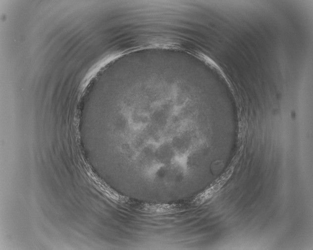 X0000054371019200507291041