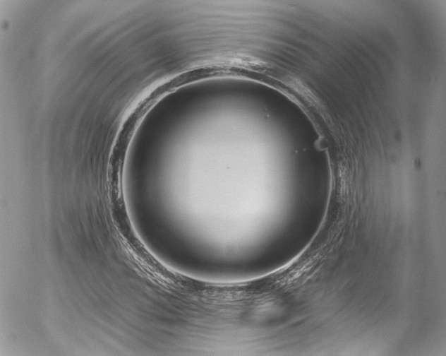 X0000054371020200507291041