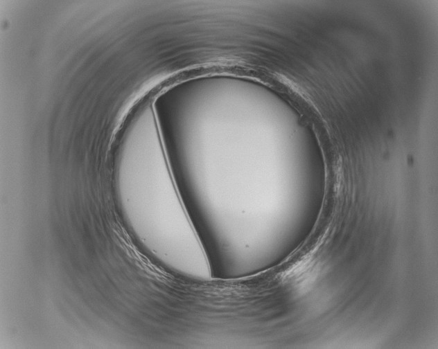 X0000054371021200507291041