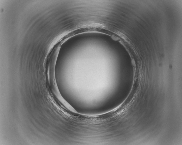 X0000054371022200507291041