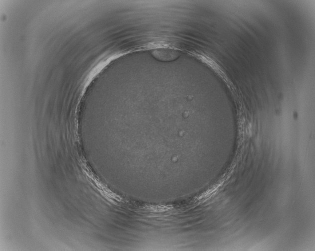 X0000054371023200507291041