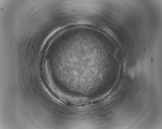 X0000054371024200507291041