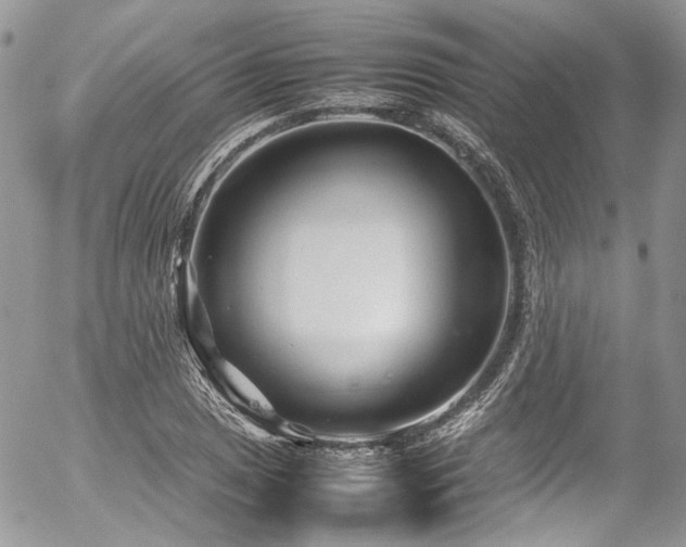 X0000054371025200507291041