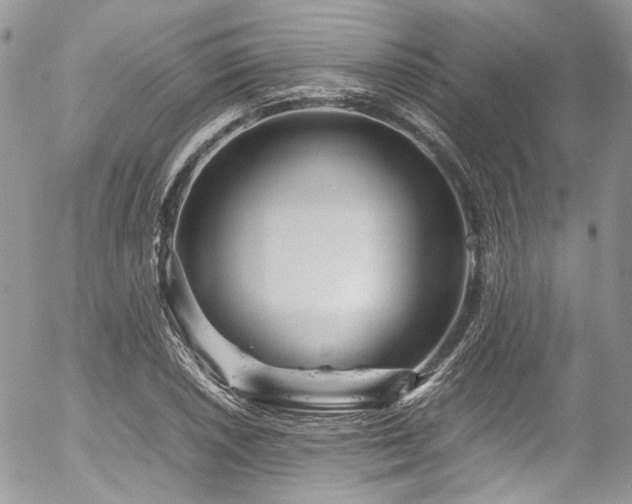 X0000054371026200507291041