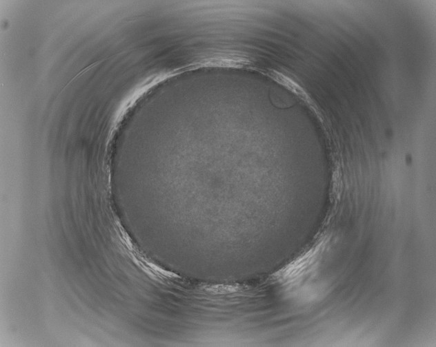 X0000054371027200507291041