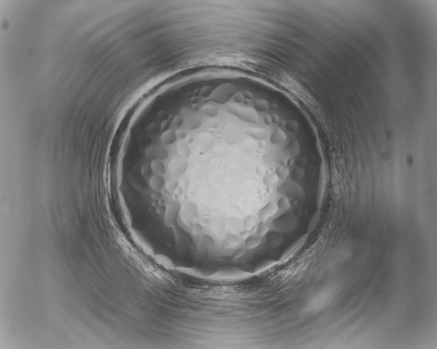 X0000054371028200507291041