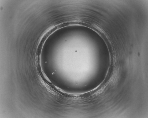 X0000054371029200507291041