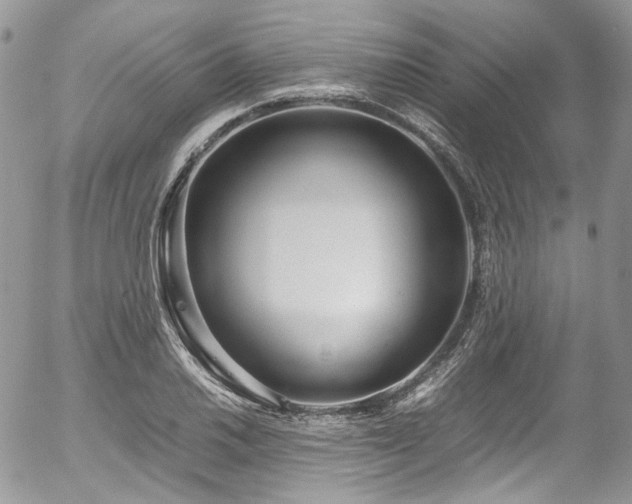 X0000054371030200507291041