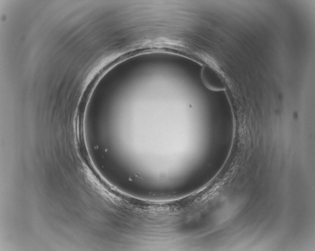 X0000054371032200507291041