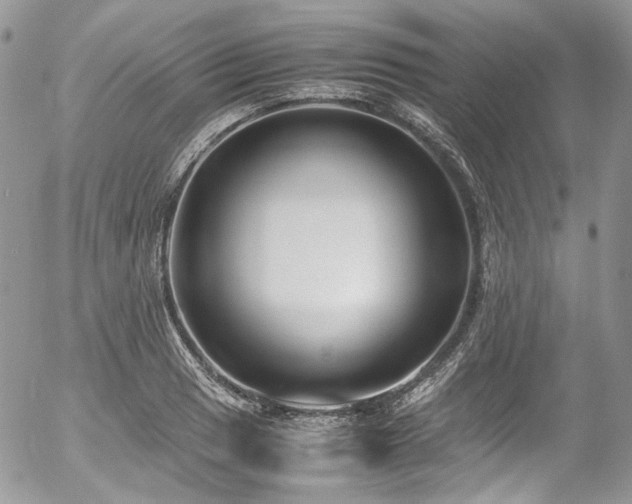 X0000054371033200507291041