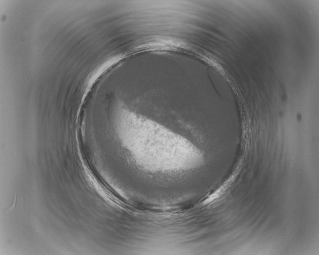 X0000054371034200507291041