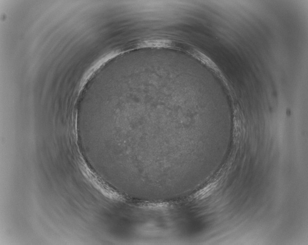 X0000054371035200507291041