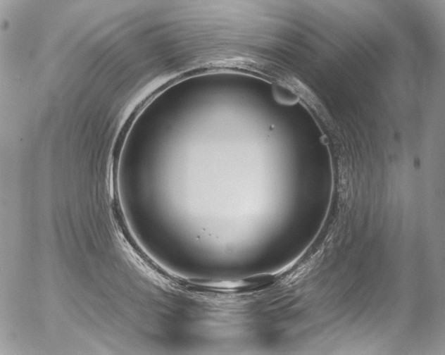 X0000054371036200507291041