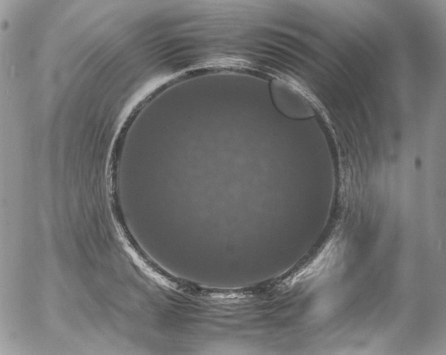 X0000054371037200507291041