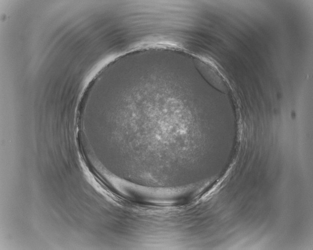 X0000054371038200507291041