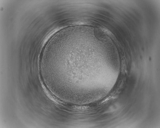 X0000054371039200507291041