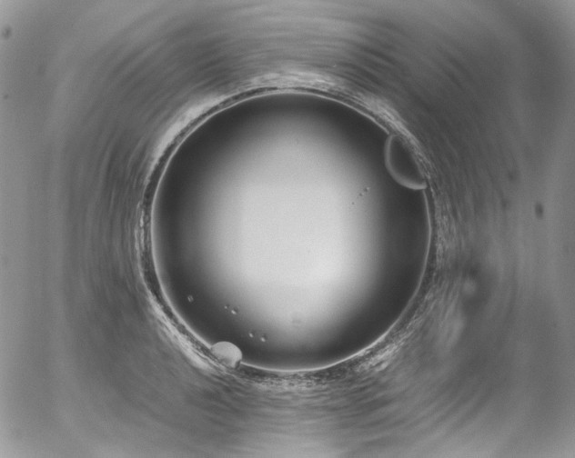 X0000054371040200507291041